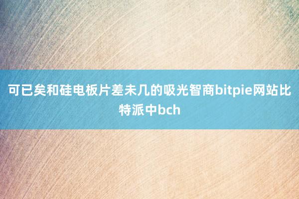 可已矣和硅电板片差未几的吸光智商bitpie网站比特派中bch