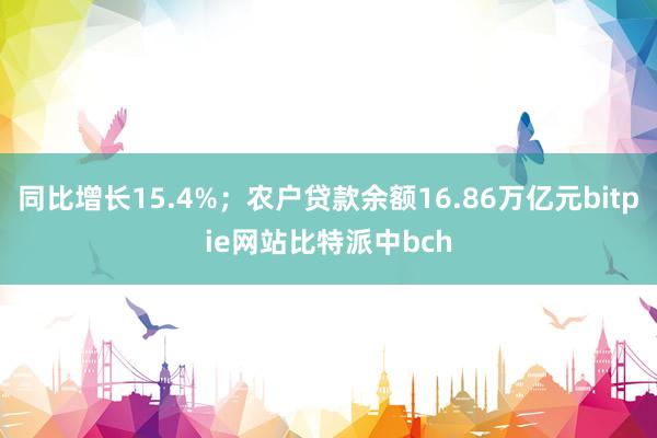 同比增长15.4%；农户贷款余额16.86万亿元bitpie网站比特派中bch