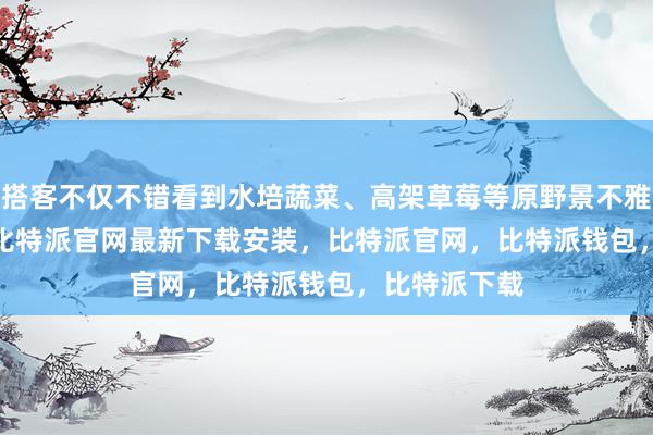 搭客不仅不错看到水培蔬菜、高架草莓等原野景不雅bitpie网站比特派官网最新下载安装，比特派官网，比特派钱包，比特派下载