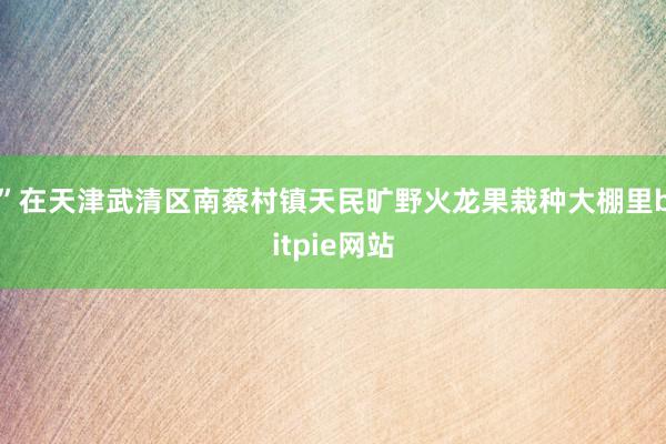 ”在天津武清区南蔡村镇天民旷野火龙果栽种大棚里bitpie网站