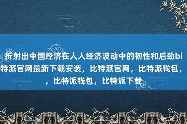 折射出中国经济在人人经济波动中的韧性和后劲bitpie网站比特派官网最新下载安装，比特派官网，比特派钱包，比特派下载