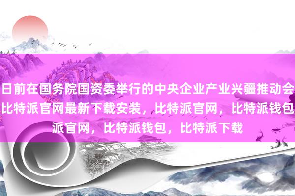 日前在国务院国资委举行的中央企业产业兴疆推动会上bitpie网站比特派官网最新下载安装，比特派官网，比特派钱包，比特派下载