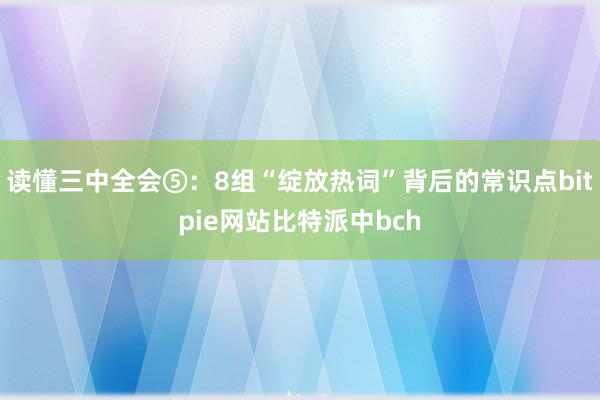 读懂三中全会⑤：8组“绽放热词”背后的常识点bitpie网站比特派中bch