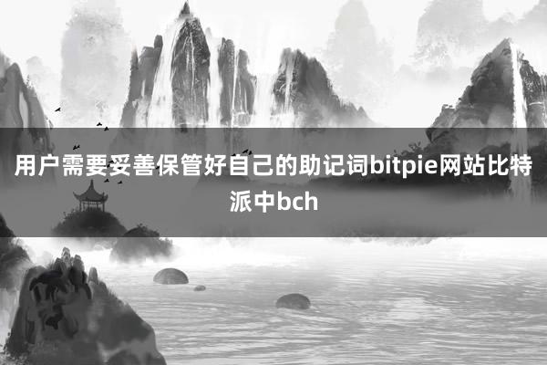 用户需要妥善保管好自己的助记词bitpie网站比特派中bch