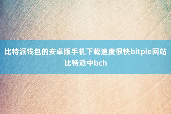 比特派钱包的安卓版手机下载速度很快bitpie网站比特派中bch