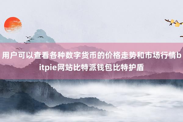 用户可以查看各种数字货币的价格走势和市场行情bitpie网站比特派钱包比特护盾