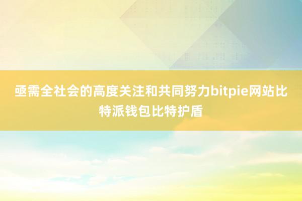 亟需全社会的高度关注和共同努力bitpie网站比特派钱包比特护盾