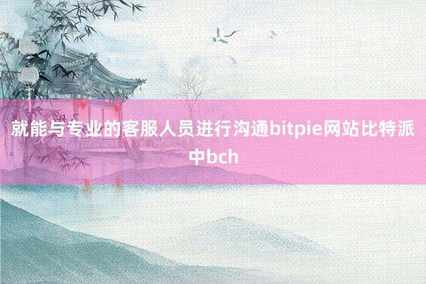 就能与专业的客服人员进行沟通bitpie网站比特派中bch