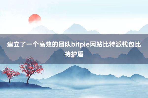 建立了一个高效的团队bitpie网站比特派钱包比特护盾