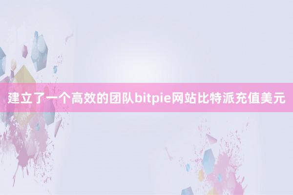 建立了一个高效的团队bitpie网站比特派充值美元