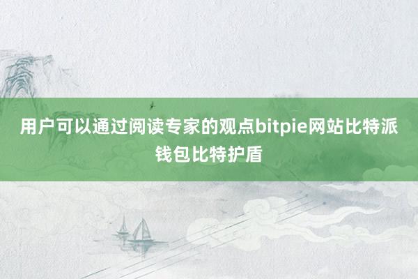 用户可以通过阅读专家的观点bitpie网站比特派钱包比特护盾