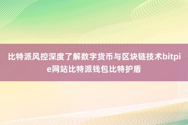 比特派风控深度了解数字货币与区块链技术bitpie网站比特派钱包比特护盾