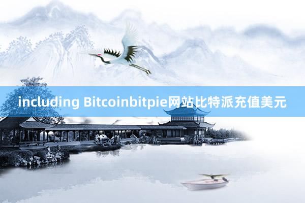 including Bitcoinbitpie网站比特派充值美元