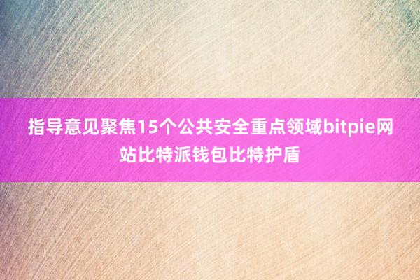 指导意见聚焦15个公共安全重点领域bitpie网站比特派钱包比特护盾