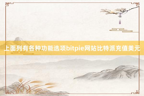 上面列有各种功能选项bitpie网站比特派充值美元