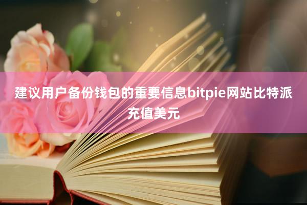 建议用户备份钱包的重要信息bitpie网站比特派充值美元