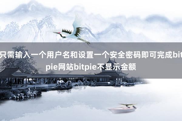 只需输入一个用户名和设置一个安全密码即可完成bitpie网站bitpie不显示金额