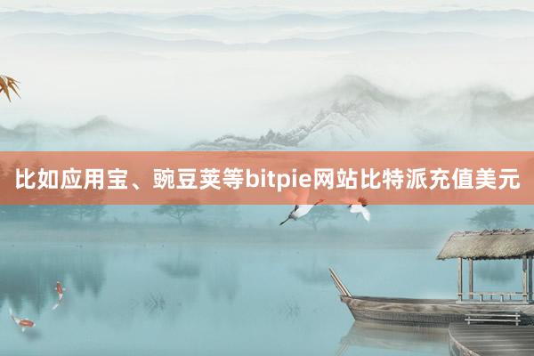 比如应用宝、豌豆荚等bitpie网站比特派充值美元