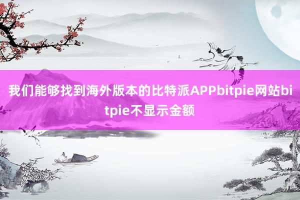 我们能够找到海外版本的比特派APPbitpie网站bitpie不显示金额