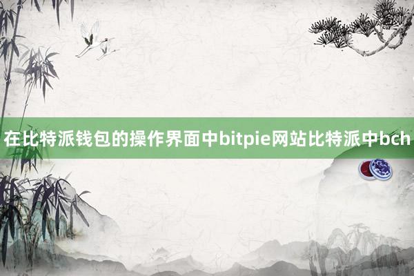 在比特派钱包的操作界面中bitpie网站比特派中bch