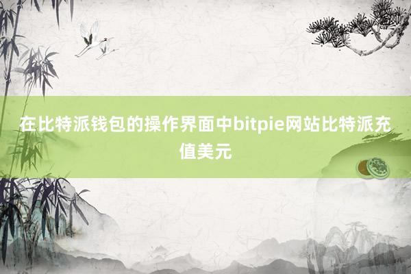 在比特派钱包的操作界面中bitpie网站比特派充值美元