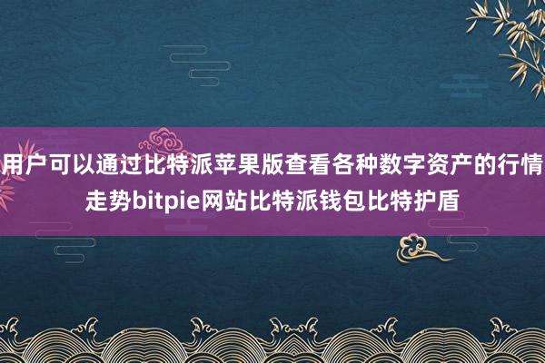 用户可以通过比特派苹果版查看各种数字资产的行情走势bitpie网站比特派钱包比特护盾