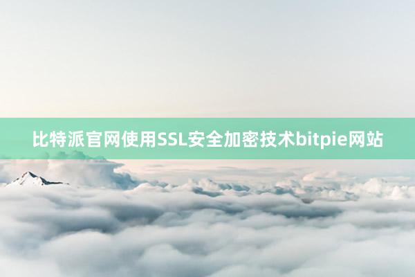 比特派官网使用SSL安全加密技术bitpie网站