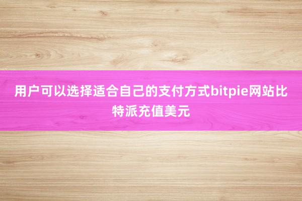 用户可以选择适合自己的支付方式bitpie网站比特派充值美元