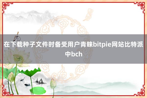 在下载种子文件时备受用户青睐bitpie网站比特派中bch