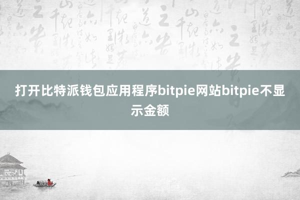 打开比特派钱包应用程序bitpie网站bitpie不显示金额