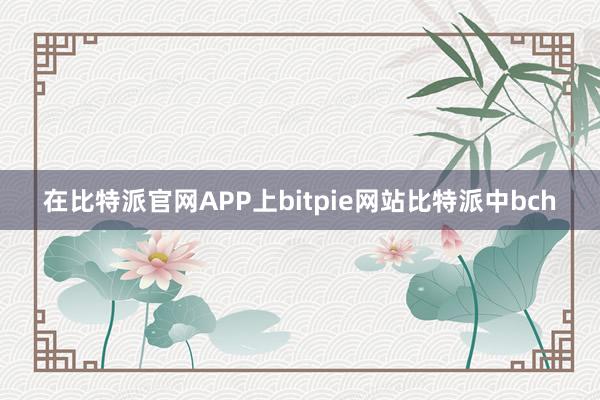 在比特派官网APP上bitpie网站比特派中bch