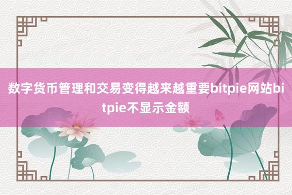 数字货币管理和交易变得越来越重要bitpie网站bitpie不显示金额