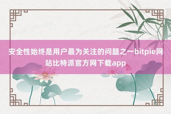 安全性始终是用户最为关注的问题之一bitpie网站比特派官方网下载app