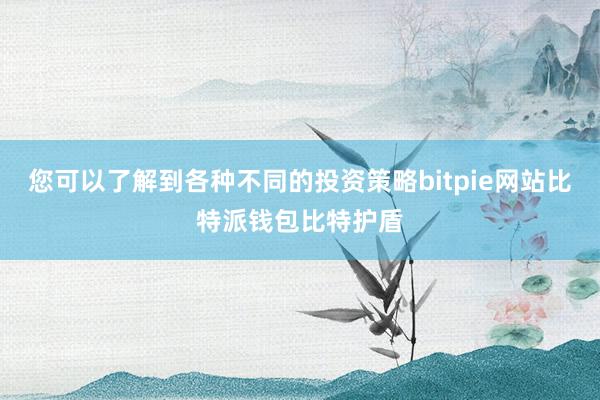 您可以了解到各种不同的投资策略bitpie网站比特派钱包比特护盾