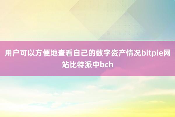 用户可以方便地查看自己的数字资产情况bitpie网站比特派中bch