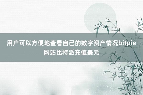 用户可以方便地查看自己的数字资产情况bitpie网站比特派充值美元