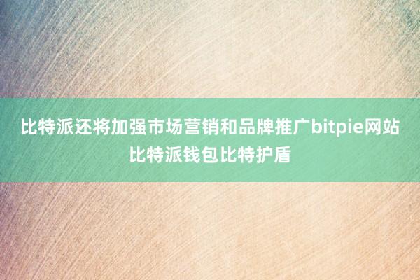 比特派还将加强市场营销和品牌推广bitpie网站比特派钱包比特护盾