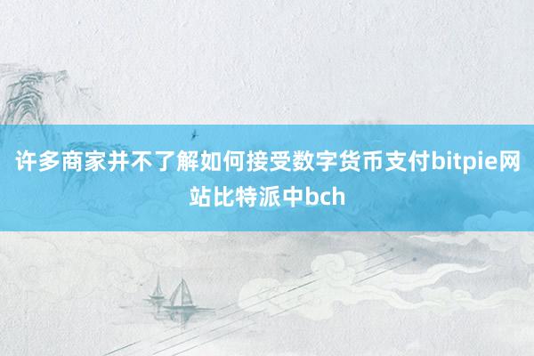 许多商家并不了解如何接受数字货币支付bitpie网站比特派中bch