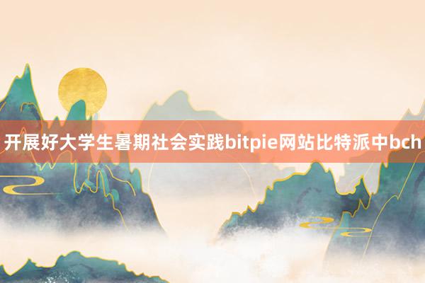 开展好大学生暑期社会实践bitpie网站比特派中bch