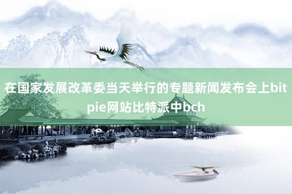 在国家发展改革委当天举行的专题新闻发布会上bitpie网站比特派中bch