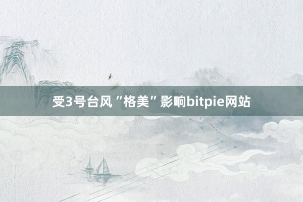 受3号台风“格美”影响bitpie网站