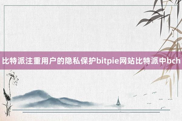 比特派注重用户的隐私保护bitpie网站比特派中bch