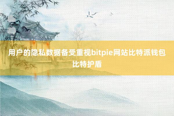 用户的隐私数据备受重视bitpie网站比特派钱包比特护盾