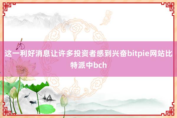 这一利好消息让许多投资者感到兴奋bitpie网站比特派中bch