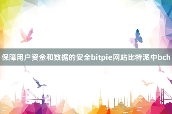 保障用户资金和数据的安全bitpie网站比特派中bch