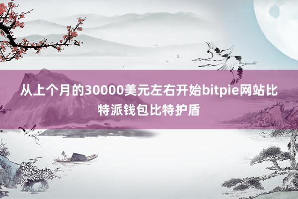 从上个月的30000美元左右开始bitpie网站比特派钱包比特护盾