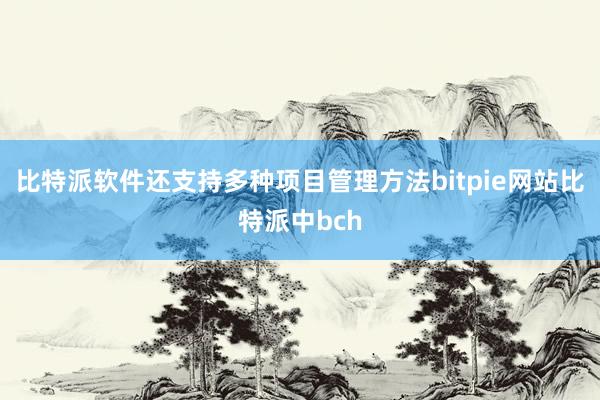 比特派软件还支持多种项目管理方法bitpie网站比特派中bch