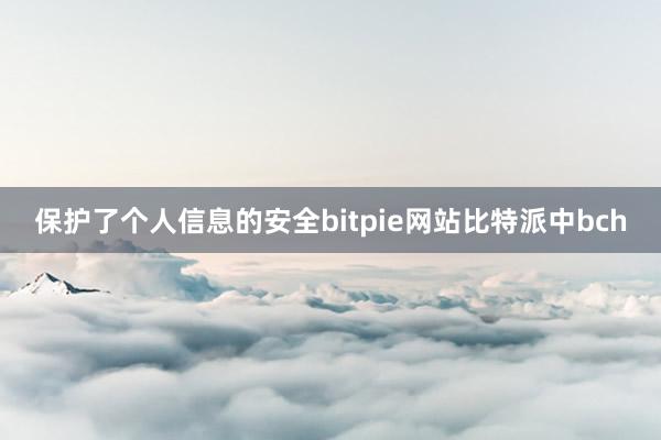 保护了个人信息的安全bitpie网站比特派中bch