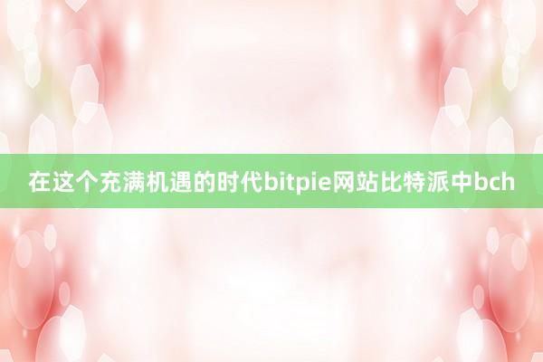 在这个充满机遇的时代bitpie网站比特派中bch