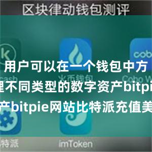 用户可以在一个钱包中方便地管理不同类型的数字资产bitpie网站比特派充值美元